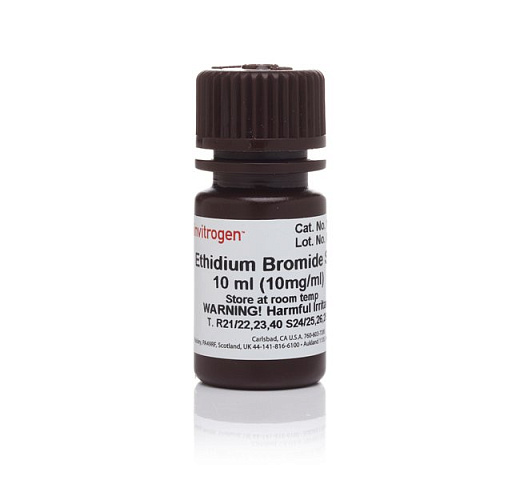 Краситель Ethidium Bromide, UltraPure, Thermo FS Фото 1